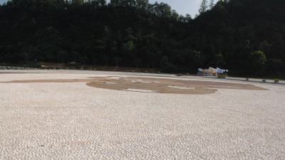 장흥 물 축제 광장 해미석 박기 포장
